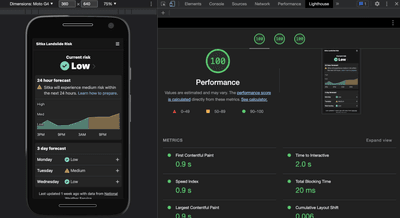 Screenshot of results from Lighthouse performance benchmark. The application received a perfect score of 100 in performance.